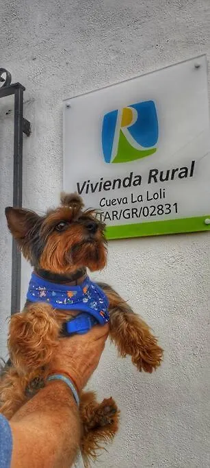 Holiday home Cueva La Loli Villa Guadix